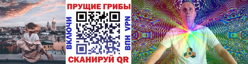 наркота  Новотитаровская  гидра как зайти  Псилоцибиновые грибы прущие грибы 